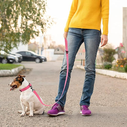 Mile High Life | Reflective Dog Collar Leash Set | Small Medium Dog Collar Leash Adjustable (Reflective Solid Pink, Large (Pack of 2))