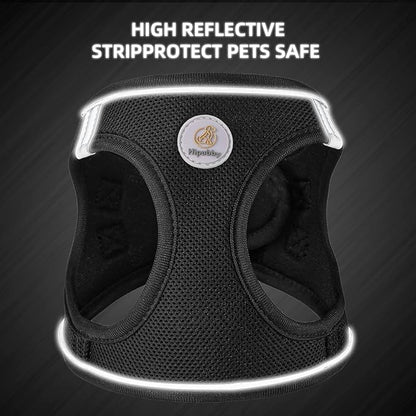 Hipubby Dog Harness and Leash Set, No Pull Soft Mesh Puppy Harness for Small Medium Dogs, Cats - Step in Reflective Breathable Lightweight Vest Harness for Walking, Training - Black, XXS