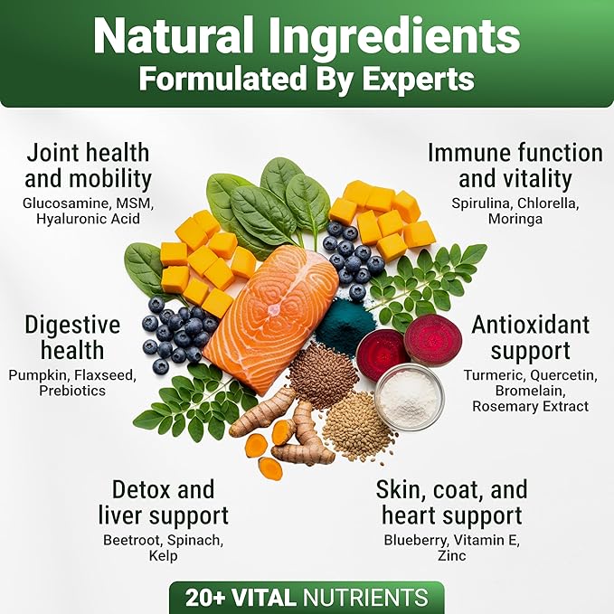 WuffWell Super Greens Powder for Dogs – Spirulina, Chlorella, Moringa, Glucosamine & Turmeric – Joint, Immune & Skin Support – Beef Flavor – Natural Dog Supplements – Vet Approved – Made in USA