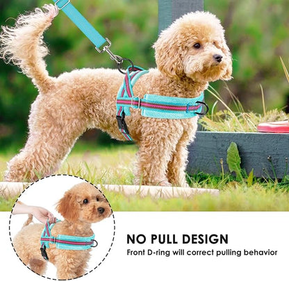 Lukovee No Pull Dog Harness and Leash Set, Soft Padded Small Dog Harness, Neck & Chest Adjustable Reflective Vest Puppy Harness with 4ft Lightweight Anti-Twist Dog Leash for Small Dogs (S, 01-LBL)