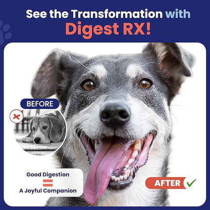 Probiotics for Dogs – Digestive Enzymes, Supports Gut Health, Vet-Formulated Prebiotics & Probiotics, for Immune Support, Diarrhea, Gas, Itching & Seasonal Allergies, Made in USA, 120 Scoops