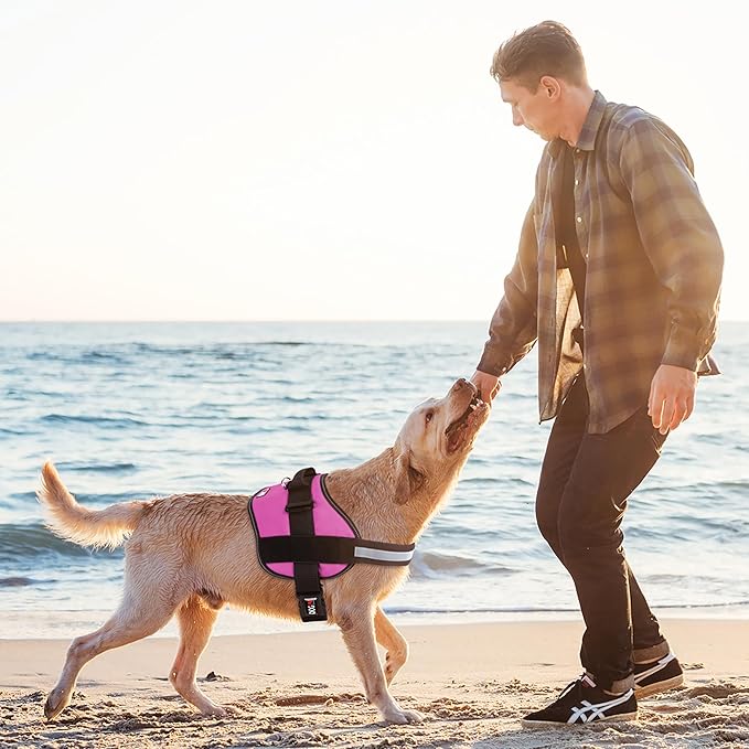 Dogline Dog Harness, Reflective No-Pull Adjustable Vest with Handle for Walking, Training, Breathable, No - Choke Harness for Small, Medium or Large Dogs Room for Patches Girth 22"-28" in Pink