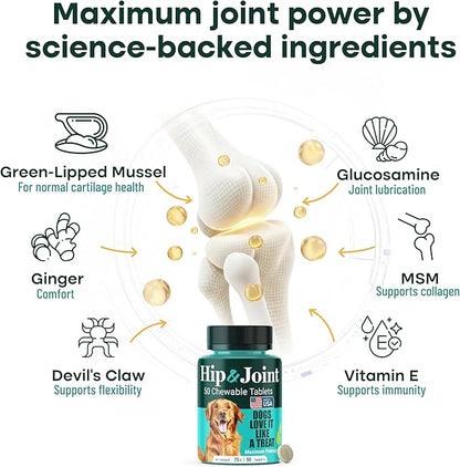 Natureflow Hip and Joint Supplement for Dogs, Advanced Dog Joint Supplement with Green-Lipped Mussel, Glucosamine, MSM & Chondroitin, Zero Sugar Chewable Pills, Made in USA, Large Medium Small Breeds