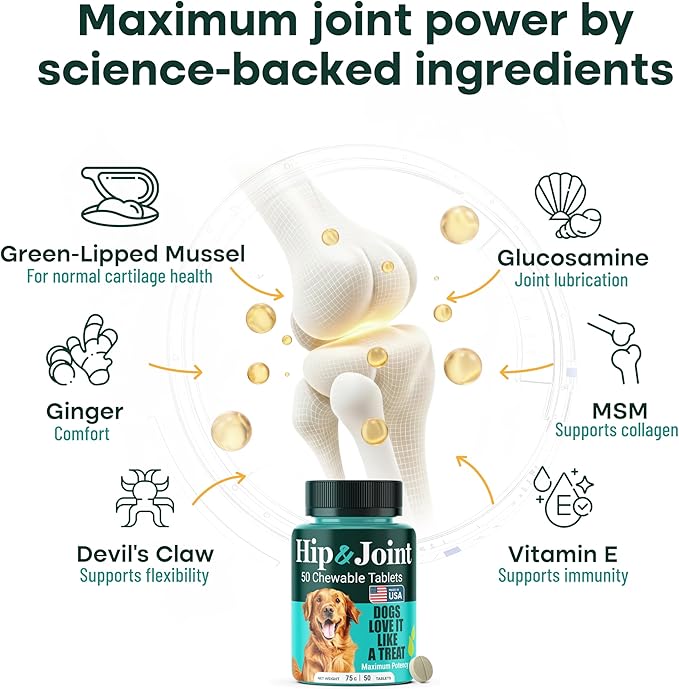 Natureflow Hip and Joint Supplement for Dogs, Advanced Dog Joint Supplement with Green-Lipped Mussel, Glucosamine, MSM & Chondroitin, Zero Sugar Chewable Pills, Made in USA, Large Medium Small Breeds