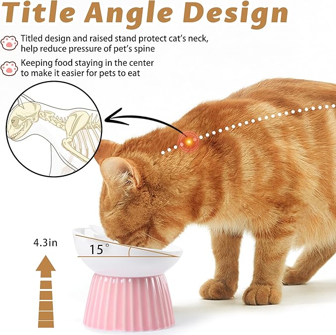 Wellbro Ceramic Raised Cat Bowl，Tilted Raised Bowl Anti Vomit for Indoor Cats Whisker Friendly Pet Feeder for Cats Puppies, Microwave and Dishwasher Safe (Blue)
