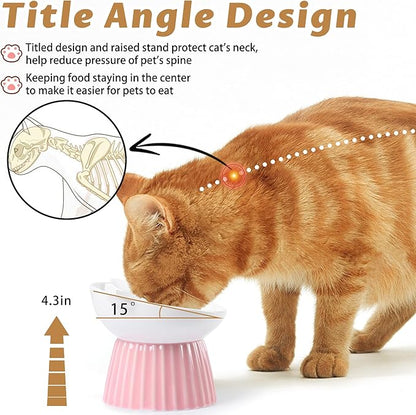 Wellbro Ceramic Raised Cat Bowl，Tilted Raised Bowl Anti Vomit for Indoor Cats Whisker Friendly Pet Feeder for Cats Puppies, Microwave and Dishwasher Safe (Blue)