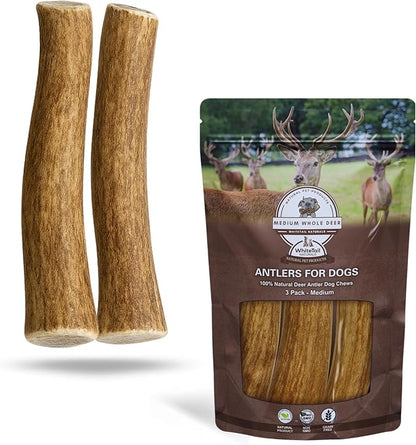 WhiteTail Naturals - Deer Antlers for Dogs - (Medium Whole- 2 Pack) - All Natural Antler Dog Chew - Naturally Shed, Long Lasting Chew Bone, Crafted in Texas