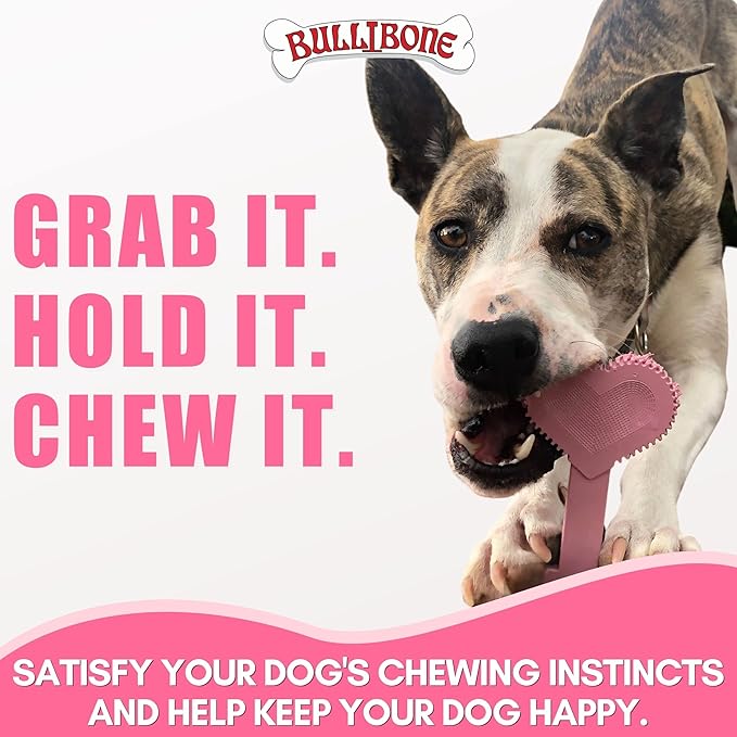 Bullibone Nylon Dog Chew Toy for Aggressive Chewers - Dental Hygiene Bone with Peppermint Flavor, Durable Tough Chew Toys for Small Dogs, Indestructible Dog Bone - 3 Pack