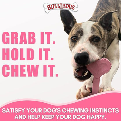 Bullibone Nylon Dog Chew Toy for Aggressive Chewers - Dental Hygiene Bone with Peppermint Flavor, Durable Tough Chew Toys for Small Dogs, Indestructible Dog Bone - 2 Pack