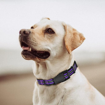 Mile High Life Reflective Dog Collar | Nylon Pet Collars wiith Buckle | Light Weight Puppy Collars | Purple Dog Collars for Large Dogs (Purple, L)