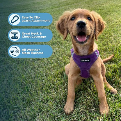 Best Pet Supplies Voyager Step-in Air Harness - All Weather Mesh, Reflective, No Pull Harness for Dogs, Cats - Secure with Hook & Loop Fastener, Buckle, Double D-Rings - Purple, S