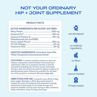 Native Pet Advanced Care - Hip & Joint Supplement for Dogs - Supports Joints, Cartilage, Muscles & Anti-Inflammatory with HMB, UC-II Collagen, Green Lipped Mussel & Hyaluronic Acid - 120 Scoops