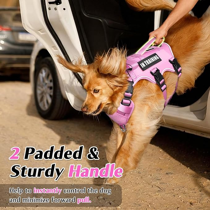 WINSEE Escape Proof Dog Harness, Service Working Molle Harness with Double Handle, Tactical Pet Vest with 4 Patches for Small Medium Large Dogs Walking Hiking Hunting