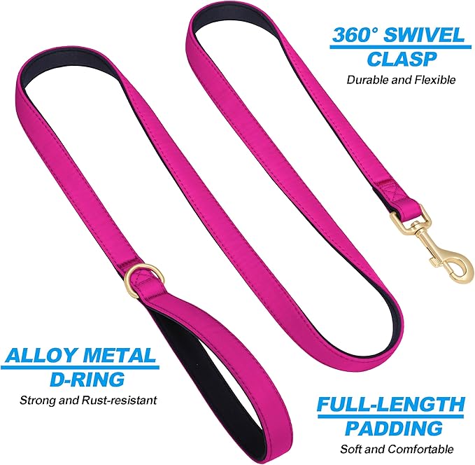 Didog 5FT Colorful Nylon Dog Leash with Soft Full-Length Padding, Lightweight and Durable Pet Leash for Small Dogs, Rose Purple, S