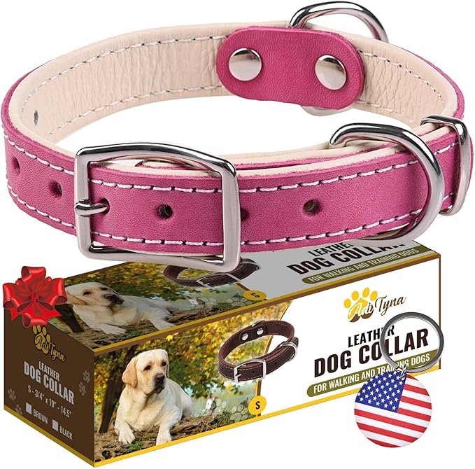 ADITYNA Heavy-Duty Pink Leather Dog Collar for Small Dogs - Soft Padded for Comfort - Girl Dog Collar for Walking, Training, and Hiking