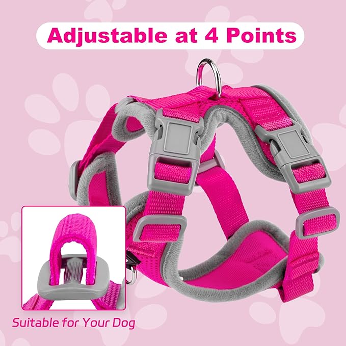 Small Dog Harness and Leash Set, No Pull Adjustable Pet Harness for Small Dogs, Breathable Mesh Rflective Dog Vest Harness (Rose Red, M)