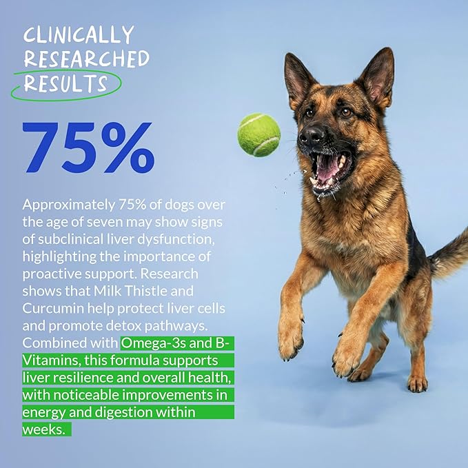 Milk Thistle for Dogs - 90 Soft Chews - Liver and Kidney Support - Hepatic Support with EPA & DHA - Detox - Liver Supplement for Dogs with Choline and L-Arginine.