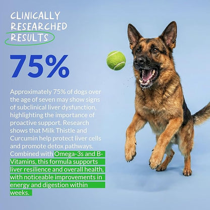 Milk Thistle for Dogs - 90 Soft Chews - Liver and Kidney Support - Hepatic Support with EPA & DHA - Detox - Liver Supplement for Dogs with Choline and L-Arginine.