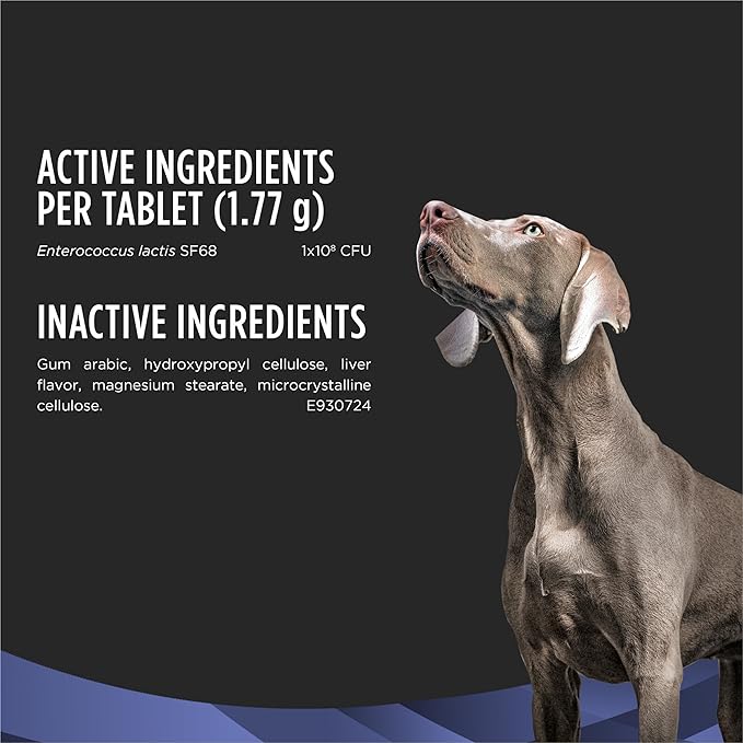 Purina Pro Plan Veterinary Supplements FortiFlora Probiotics for Dogs Chewable Tablets for Digestive Gut Health and Diarrhea - 45 ct. Canister
