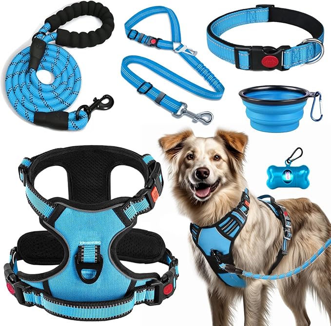 LOBEVE No Pull Dog Harness, Collar & Leash Set | Includes Dog Seat Belt, Collapsible Bowls & Poop Bag Dispenser. Ideal for Training, Walking, Hiking. Fits Small to Large Dogs(Blue-L)