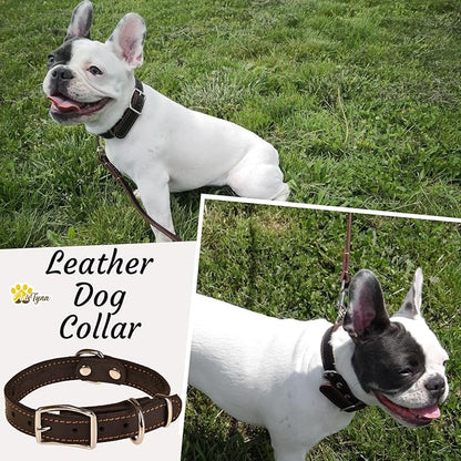 Heavy Duty Black Leather Dog Collar - Soft and Strong Dog Collar for Puppy or Small Breeds (Small: Fit 10" - 14.5" Neck, Black)
