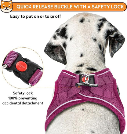 Dog Harness with Leash Set, No-Pull Step-in Reflective Pet Harness with 1 Leash Clips, Adjustable Soft Padded Easy Walk Dog Vest for Small Medium Large Dogs, Cats(Rose Red, XXSmall)