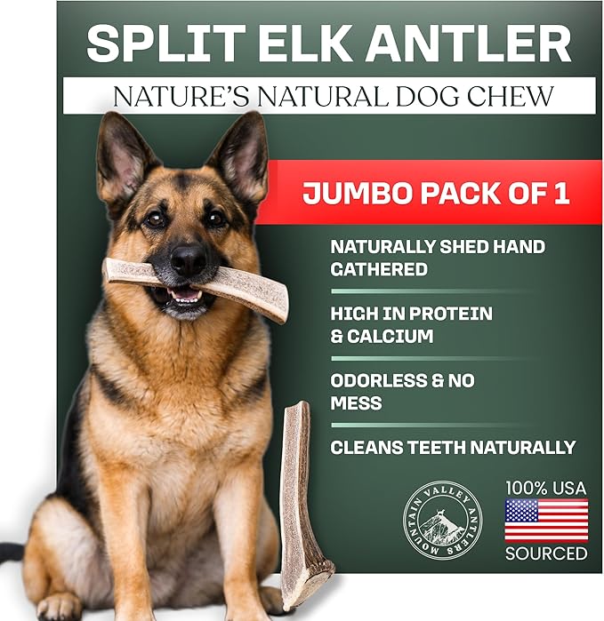 Mountain Valley Elk Antlers for Dogs - 100% Natural & Organic Chew for Aggressive Chewers, No Odor, No Mess, Long Lasting - Wild-Foraged Naturally Shed Antlers in USA - Grade A, Split Jumbo (1 Pack)