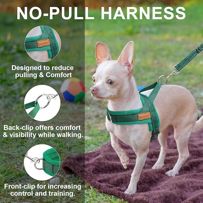 BEAUTYZOO Dog Harness for Small Dogs, No Pull Dog Harness and Leash Set, Soft Escape Proof Puppy Vest Harness with Handle, Reflective Lightweight Step in Harness for Girl Boy Dogs, Green XS