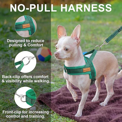BEAUTYZOO Dog Harness for Small Dogs, No Pull Dog Harness and Leash Set, Soft Escape Proof Puppy Vest Harness with Handle, Reflective Lightweight Step in Harness for Girl Boy Dogs, Green XS