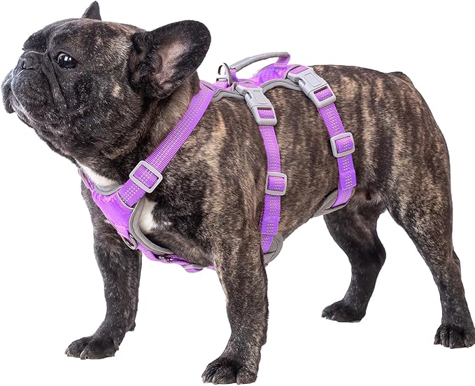 Huntboo Escape Proof Dog Harness, Escape Artist Harness, Reflective Harness with Padded Handle, Breathable, Adjustable Vest for Medium Dogs Walking, Training, and Running Gear (Lavender Purpled, M)