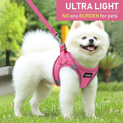 GAMUDA Small Pet Harness Collar and Leash Set, Step in No Chock No Pull Linen Fabric Soft Mesh Dog Vest Harnesses Reflective for Dogs Puppy Cats Kitten Rabbit (Pink, L)