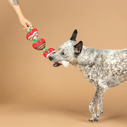 Fringe Studio Plush Dog Toy with Rope, Covered with Love, Petshop Collection (314495)