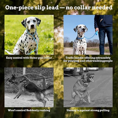 EVERKING Dog Slip Lead Dog Training Leash, No-Pull Slip Leash and Collar,Nylon Material Heavy-Duty and Durable,with Comfortable Padded Handle,Suitable for All Dogs (Blue(4.9-5.9FT-Metal Buckle))
