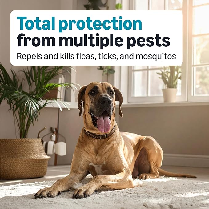 Amazon Basics Preventative Flea, Tick & Mosquito Topical Treatment for X-Large Dogs (Over 55 pounds), 6 Count, Packaging May Vary