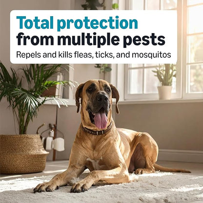 Amazon Basics Preventative Flea, Tick & Mosquito Topical Treatment for X-Large Dogs (Over 55 pounds), 6 Count, Packaging May Vary