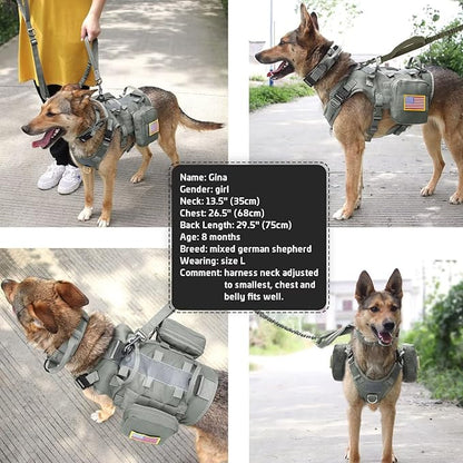 Forestpaw Tactical Dog Harness for Large Dogs,Tactical Dog Collar with Bungee Leash Set,No Pull Military Dog Harness for Walking Training,Adjustable for Medium Large Dogs,Gray,Chest 19.5-41.5"