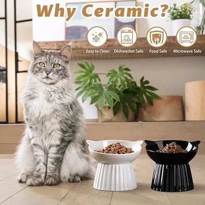 Wellbro Ceramic Raised Cat Bowl，Tilted Raised Bowl Anti Vomit Bowls for Indoor Cats Whisker Friendly Pet Feeder for Cats Puppies, Microwave and Dishwasher Safe