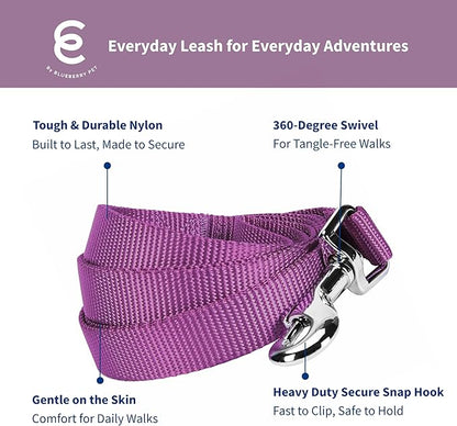 Blueberry Pet Essentials Violet Dog Leash for Small -5' * 5/8" Dogs | Heavy Duty Nylon Lead | Lightweight Puppy & Cat Leash for Walking & Training