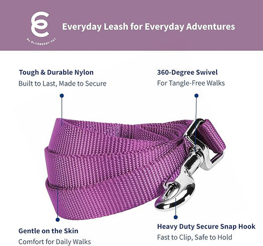Blueberry Pet Essentials Violet Dog Leash for Medium - 5' * 3/4" Dogs | Heavy Duty Nylon Lead | Lightweight Puppy & Cat Leash for Walking & Training