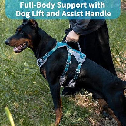 Huntboo Reflective Dog Harness with Handle, Escape Proof, No Slip, Breathable, Lightweight, Adjustable Lift Harness for Small, Medium, and Large Dogs Walking, Training, and Running Gear(Teal Blue,L)