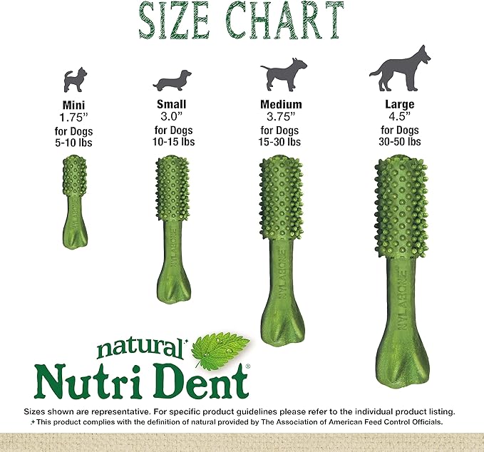 Nylabone Nutri Dent Dog Dental Treats - Natural Dog Teeth Cleaning & Breath Freshener - Dental Treats for Dogs - Fresh Breath Flavor, Large (20 Count)