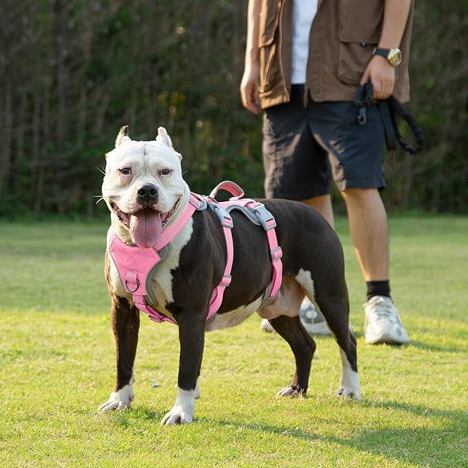 Huntboo Escape Proof Dog Harness, Escape Artist Harness, Reflective Harness with Padded Handle, Breathable, Durable, Adjustable Vest for Medium Dogs Walking, Training, and Running Gear (Pink,S)