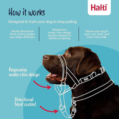 Halti Headcollar - Stop Your Dog Pulling on The Leash. Adjustable, Reflective and Lightweight, with Padded Nose Band. Dog Training Anti-Pull Collar for Large Dogs (Size 4, Burnt Orange)