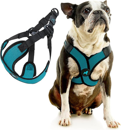 Gooby Comfort X Step in Lite Dog Harness - Choke Free, Escape Free with Light Breathable Mesh - Step in Dog Harness for Small Dogs Only - Quick Release Buckle, Metal D-Rings - Turquoise, X-Small