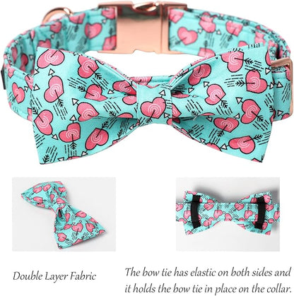 Lionet Paws Valentines Dog Collar Bowtie, Dog Bowtie Collar with Metal Buckle for Dogs, Adjustable Fabric Dogs Collars Girl Boy, XL, Neck 16-26 in