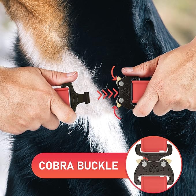 NexaPaw Biothane Dog Collar with Cobra Buckle - Made in USA - QR Code Dog Tag ID Included - Adjustable Heavy Duty Dog Collars for Medium Large Dogs - Waterproof Military Grade Tactical Collar for Dogs