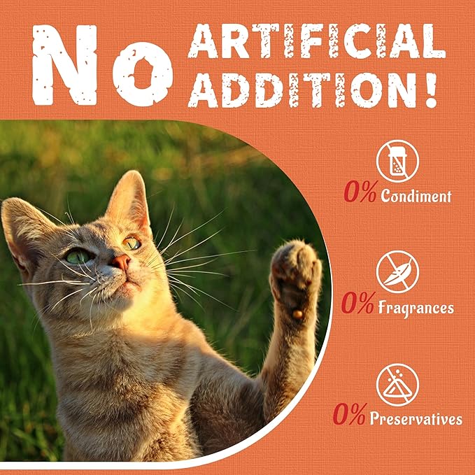 Just Try 16 OZ Daily Vitamins Cat Treats Multivitamin Boost Flavor Healthy Cat Snacks Training Biscuits Health & Energy for Cats