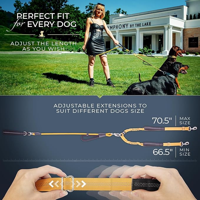 Premium Double Leash for Two Dogs – Shock Absorbing Anti Pull Double Lead for Medium & Large Breeds with Adjustable Dual Leash Attachment for 2 Dogs