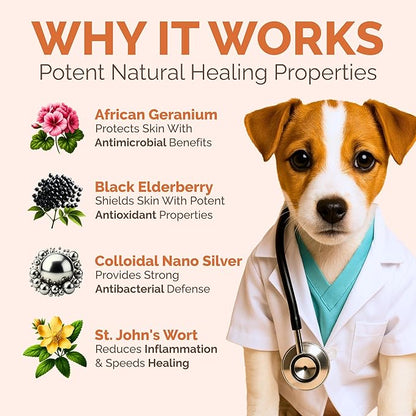 Hot Spot & Itch Relief Skin Cream for Dogs & Cats | Fast & Lasting Relief | Treats the Source | Natural Ingredients & Colloidal Silver | Vet-Recommended | Safe & Non-Toxic | Made in USA (2oz)