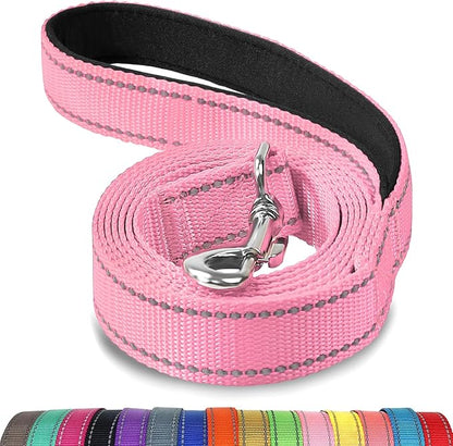 Joytale Double-Sided Reflective Dog Leash, 4 FT, Padded Handle Nylon Heavy Duty Leashes for Medium & Large Dogs Walking, Pink